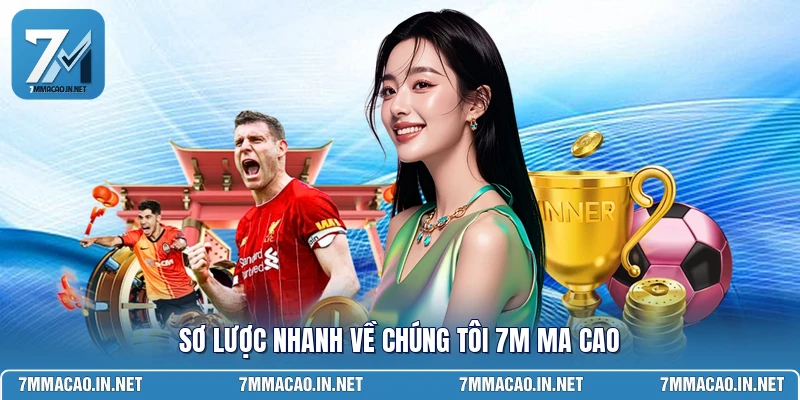 Sơ lược nhanh về chúng tôi 7M MA CAO