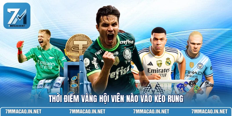 Thời điểm vàng hội viên nào vào kèo rung 