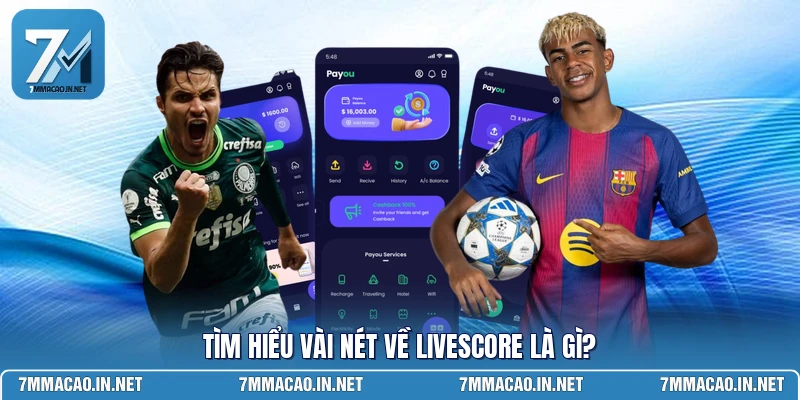 Tìm hiểu vài nét về livescore là gì?