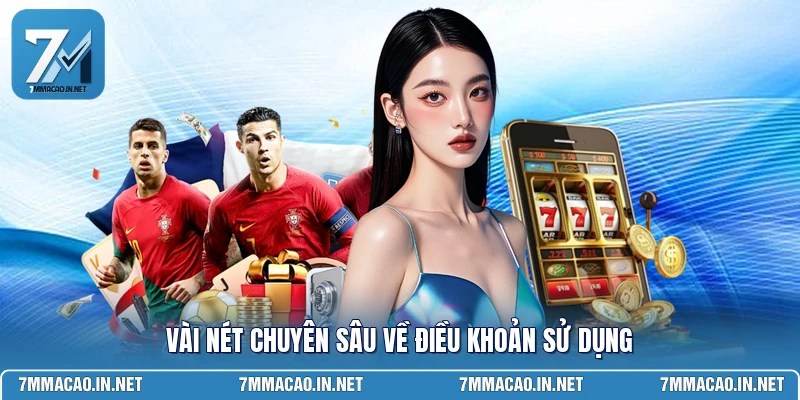Vài nét chuyên sâu về điều khoản sử dụng 